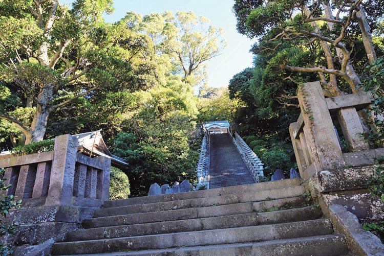 真鶴半島の森 (2)