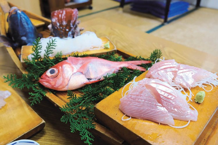 真鶴半島の森 (6)