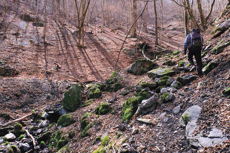 ウノタワへは横倉入の源流部を登って行く。樹種としてはブナとミズナラが多いところだ。