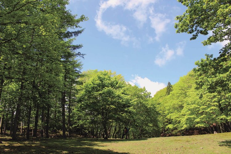ここがウノタワ。尾根上に広い空間がぽっかり。伝説では沼があったということだが、それらしい場所も、確かにある。