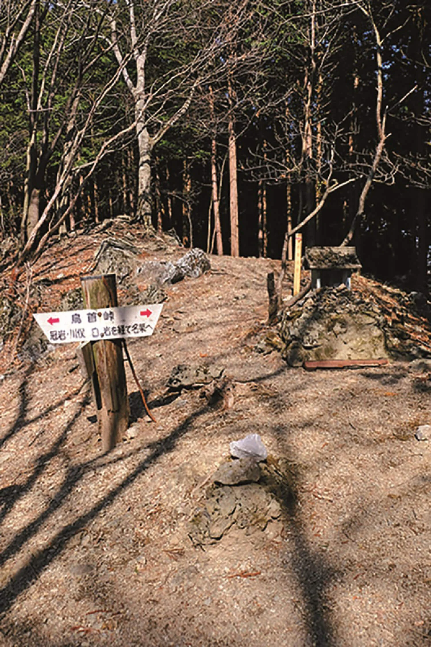 東京発日帰り旅 埼玉県飯能市 名郷から 山上の秘境 ウノタワへ さんたつ By 散歩の達人