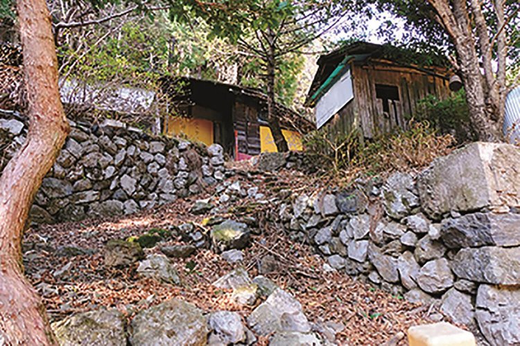 埼玉県飯能市 (3)