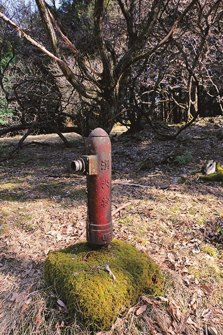 埼玉県飯能市 (4)