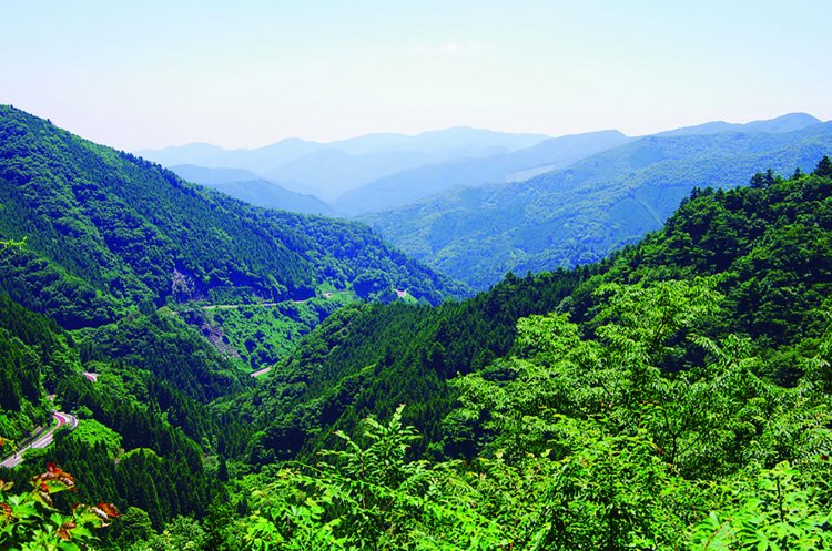 「森林館」から三頭大滝へ行く途中に展望が開ける場所がある。正面に生藤山など。左の道は奥多摩周遊道路。