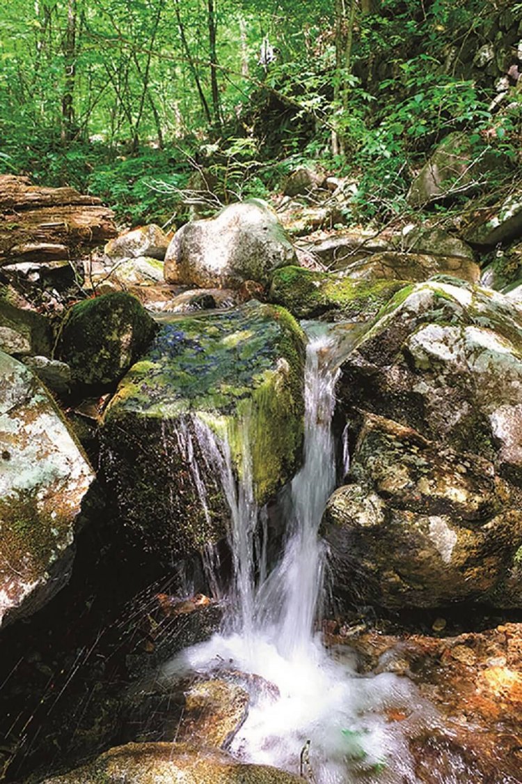 三頭大滝上流部の三頭沢。三頭山を源流部として秋川となり、多摩川へ注ぐ。