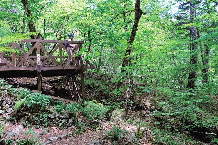 ブナの路を上がって行くとある、ムシカリ峠とコマドリの路との分岐にあるテラス。森の息吹を一番感じられる場所だ。