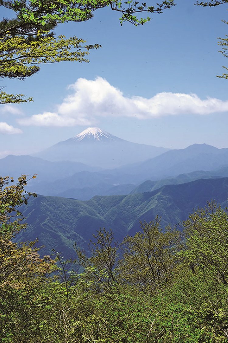 三頭山の西峰から見た富士山。三頭山には3カ所の山頂があるが、この西峰の展望がいい。