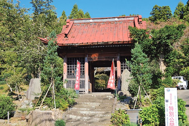 神奈川県秦野市 (2)