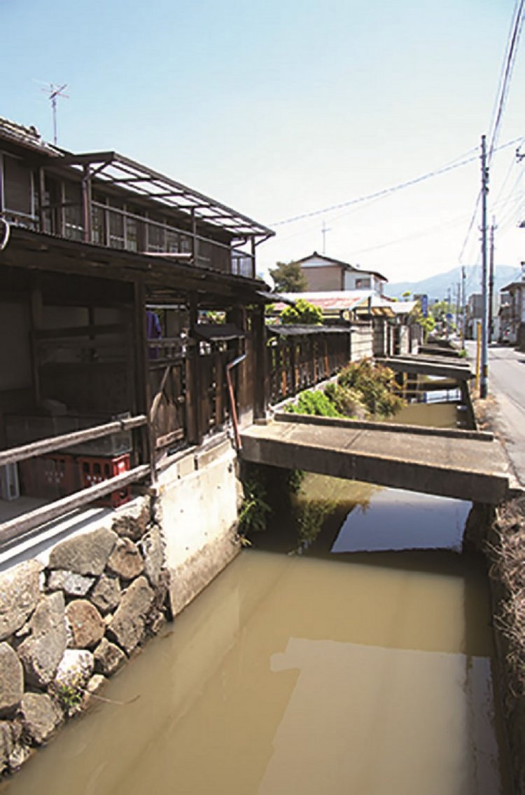北条商店街の大通りの裏道に残る北条用水路。裏堀と呼ばれ、古くからある農業用水路だ。桜川から取水している。