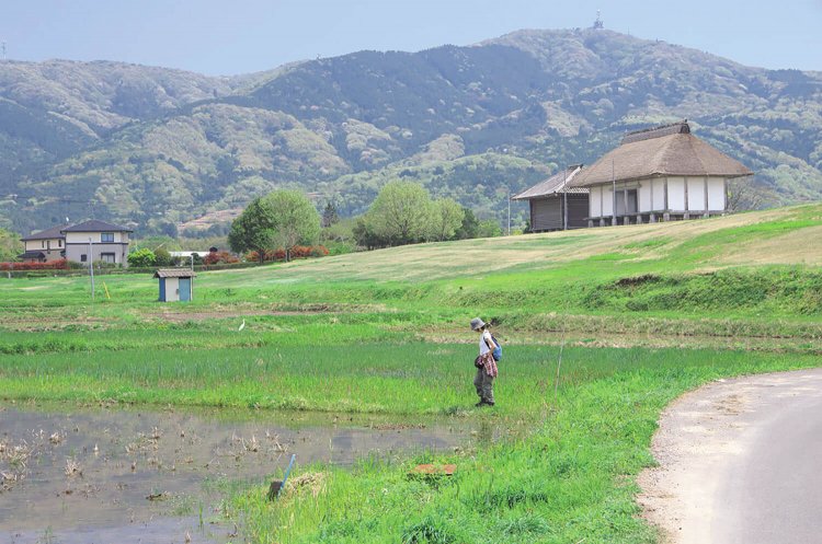 平沢官衙遺跡近くの風景。建物は復元されたもの。