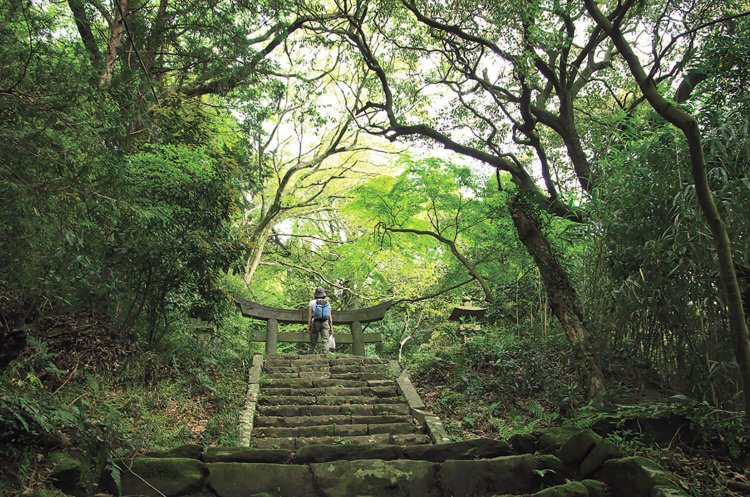 茨城県つくば市