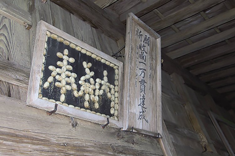 茨城県つくば市 (2)