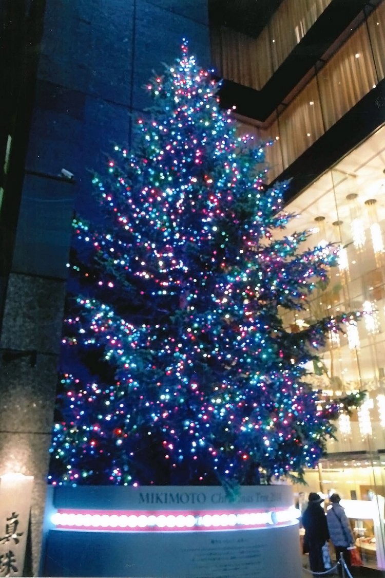 銀座ミキモトクリスマスツリー04