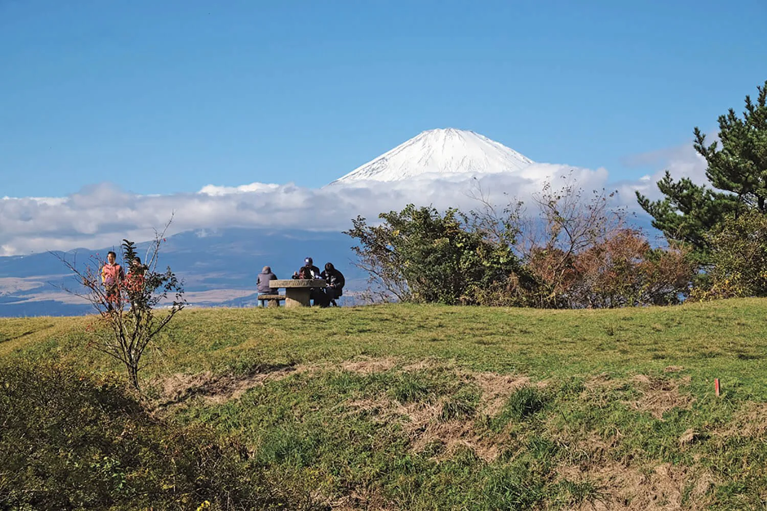 東京発日帰り旅 神奈川県南足柄市 静岡県小山町 足柄城と富士の絶景 さんたつ By 散歩の達人