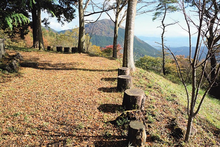 足柄明神跡からの展望。足柄平野が一望できる。この展望のよさが出丸として使われた理由かも。