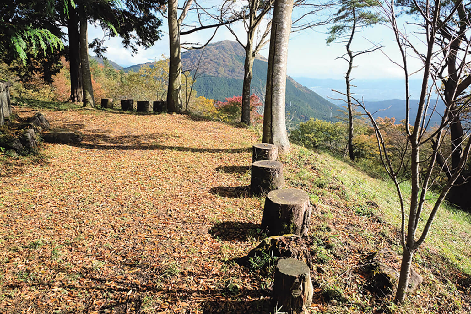 【東京発日帰り旅】神奈川県南足柄市・静岡県小山町~足柄城と富士の絶景~