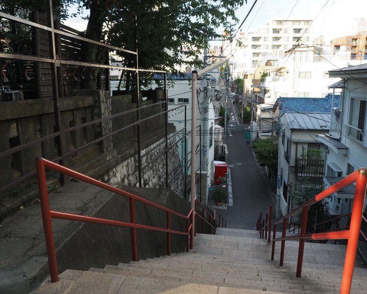 以前撮った、階段の上からの景色（今回は人が多すぎて撮影できなかった）。