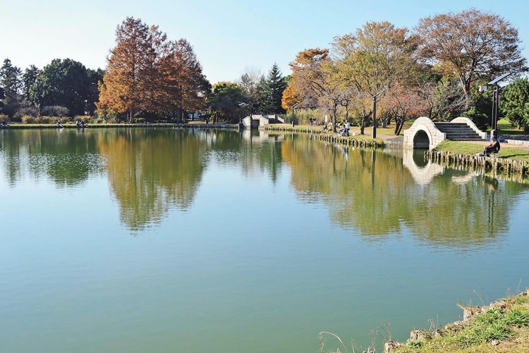 忍城の外堀だった沼の一部が、水城公園の池になっている。