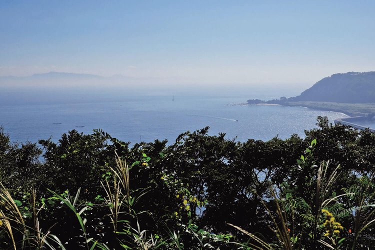東叶神社の裏山に残る浦賀城跡からの展望。船を見張るには絶好地だった。右は燈明崎、左は房総半島。