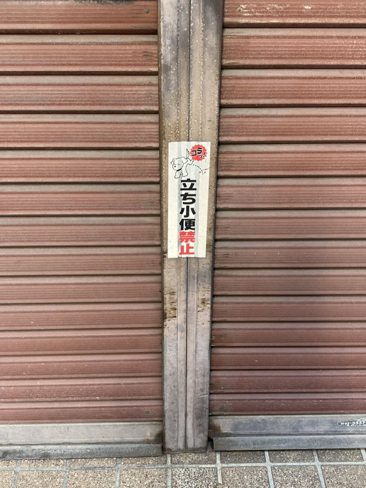 犬向けか？人向けか？（千束）