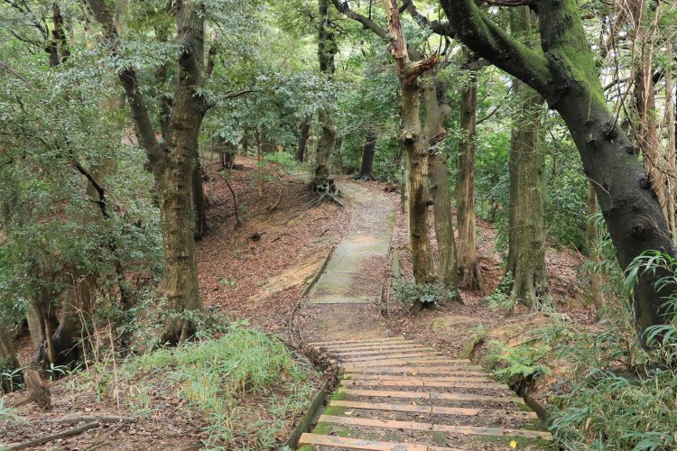 月見御殿側から見た三の木戸。数mの落差あり。