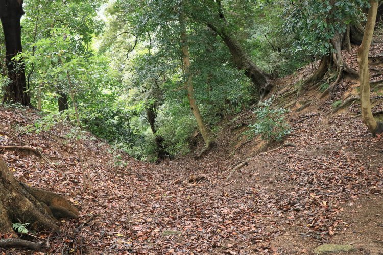 三の木戸の堀切。そのまま竪堀化しているように見える。