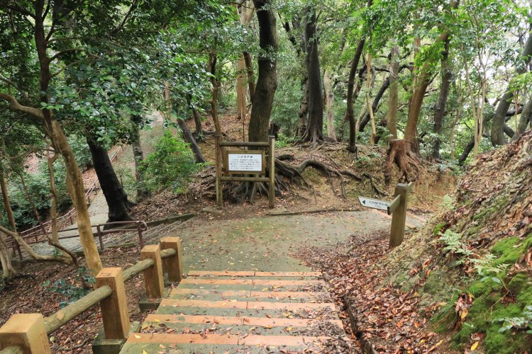 ニの木戸を見下ろす。手前と奥で二重になっている。