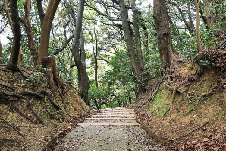 一条目の堀切。遊歩道設置前はもっと鋭かっただろう。