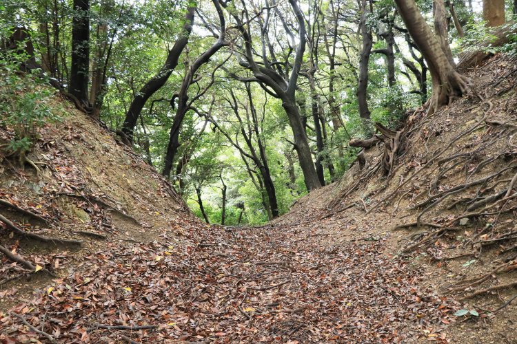 続いて二条目の堀切。幅はこちらの方が広い。