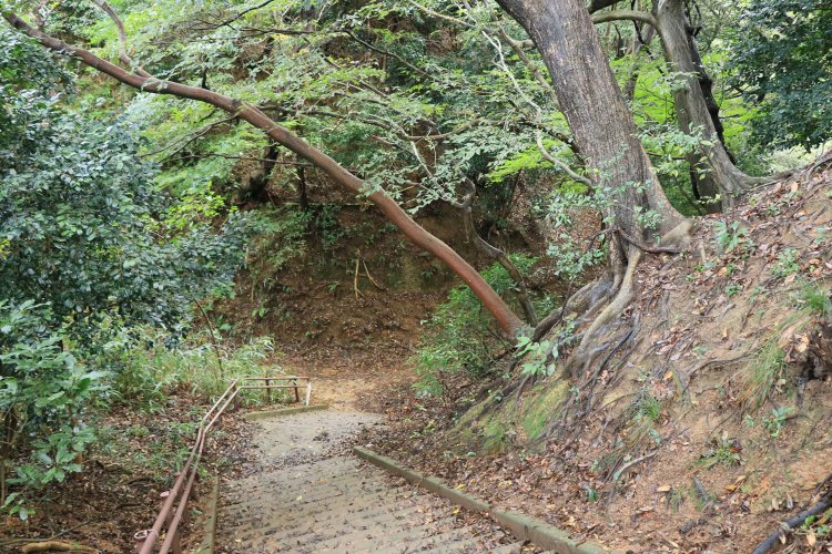 急な下りのその先に、気になる暗がりが見えてきた。