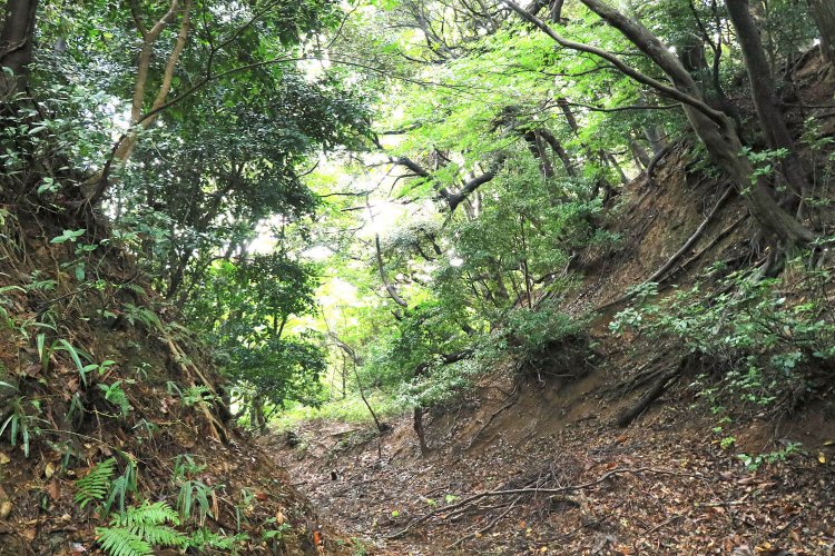 落差数mある大堀切が待ち構えていた。