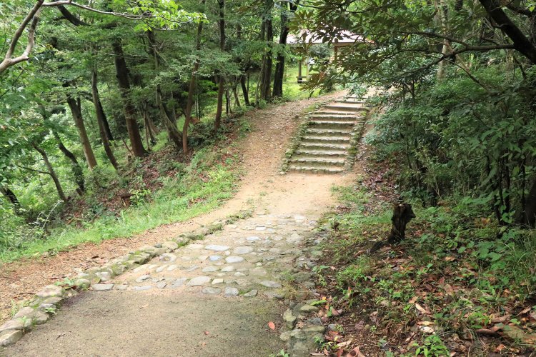 分岐から一つ目の堀切。尾根をはっきり分断している。