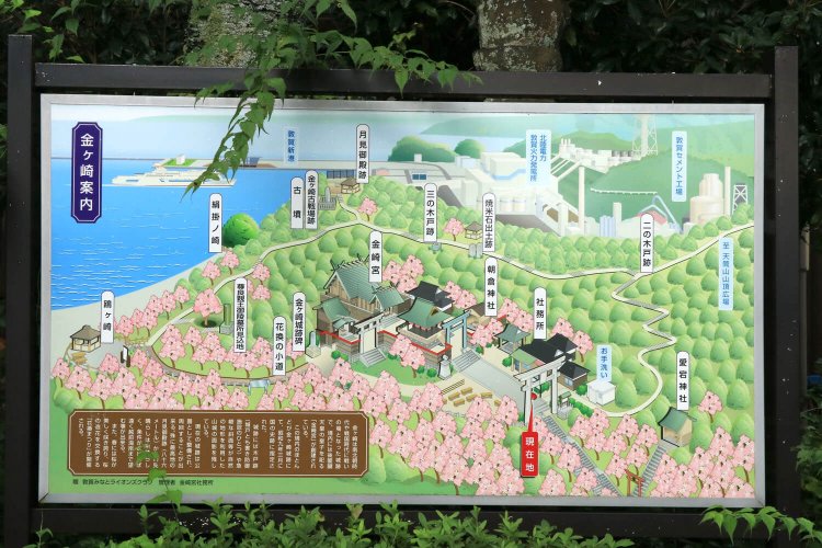 金ヶ崎宮と金ヶ崎城周辺の遊歩道マップ。