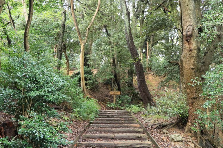正面にそびえる切岸が行く手を阻む。