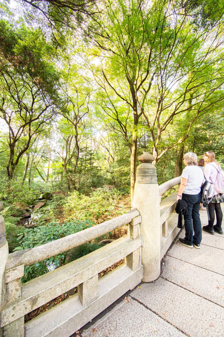 南参道にある神橋。遠くに御苑の南池を望むことができる。ここだけ別世界のよう。