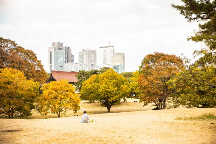 宝物殿付近は、急に視界がひらける。静かな時間を過ごすことができる。