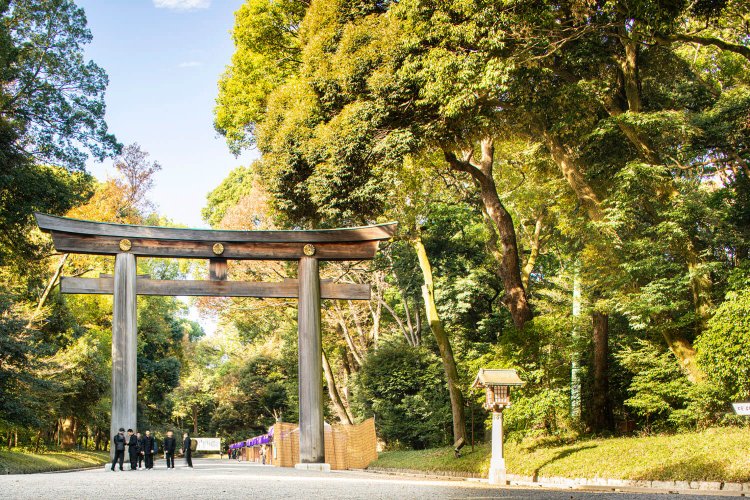 100年の森、明治神宮を歩く～永遠に更新される”人工”の森～