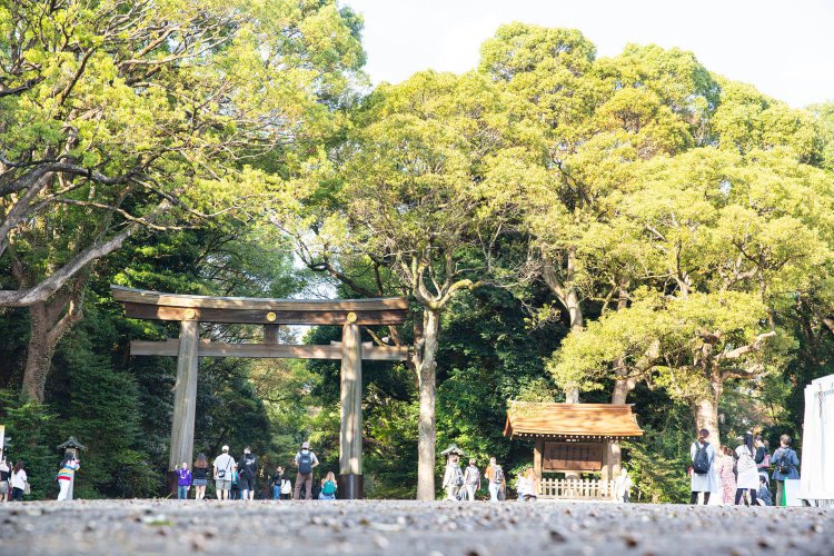 創建当時（上）と2019年（下）。まだ植えたばかりで支柱が必要だった木が、この100年でどれほど大きく育ったのかがわかる。これからも大事にしていきたい。