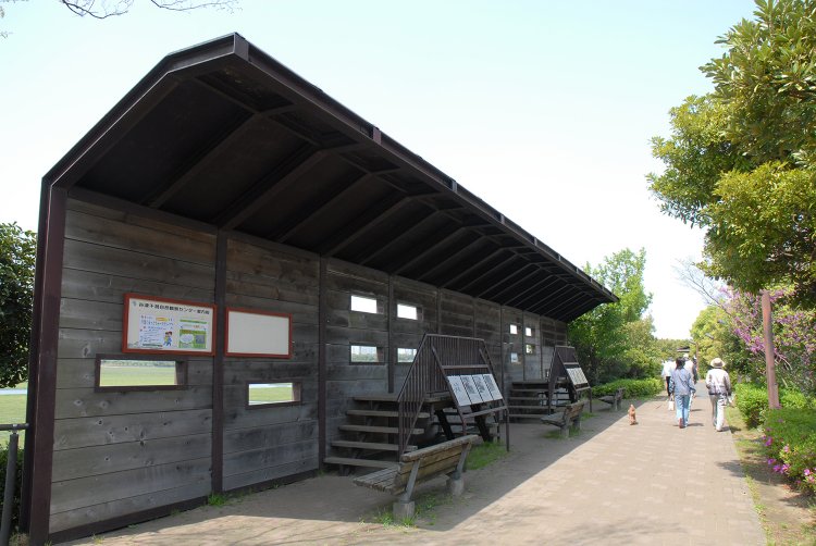 02_谷津干潟公園