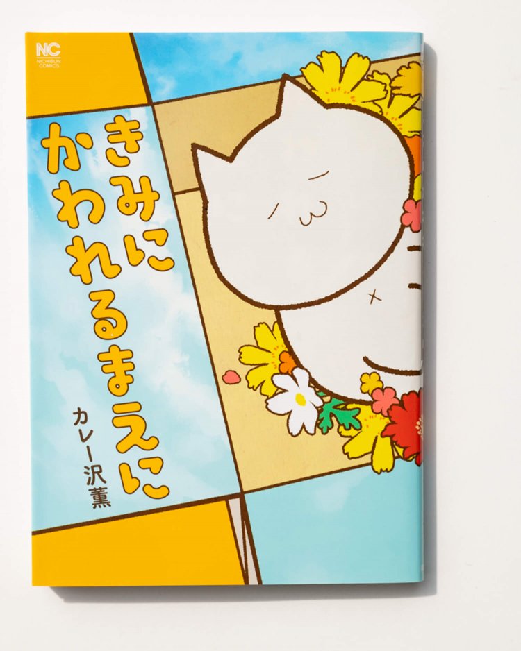 カレー沢薫 著　　日本文芸社/2020年