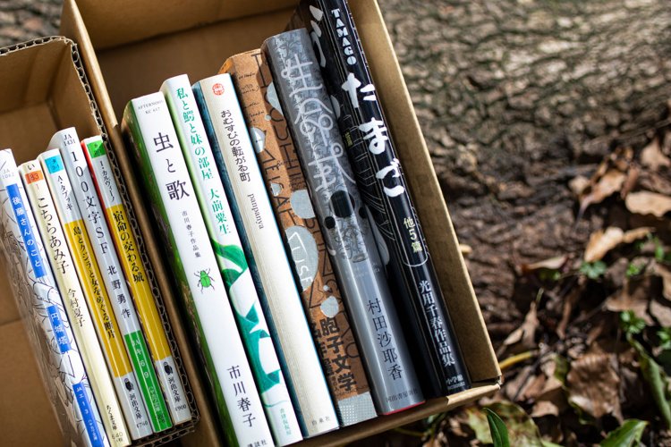 一箱本棚ピクニック