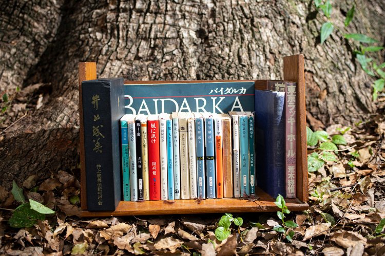 一箱本棚ピクニック