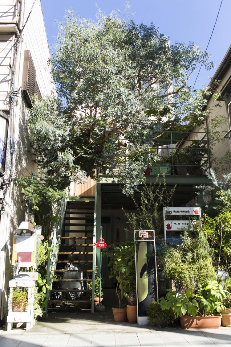 ユーカリの緑に包まれた小さなテラス席も心地いい。