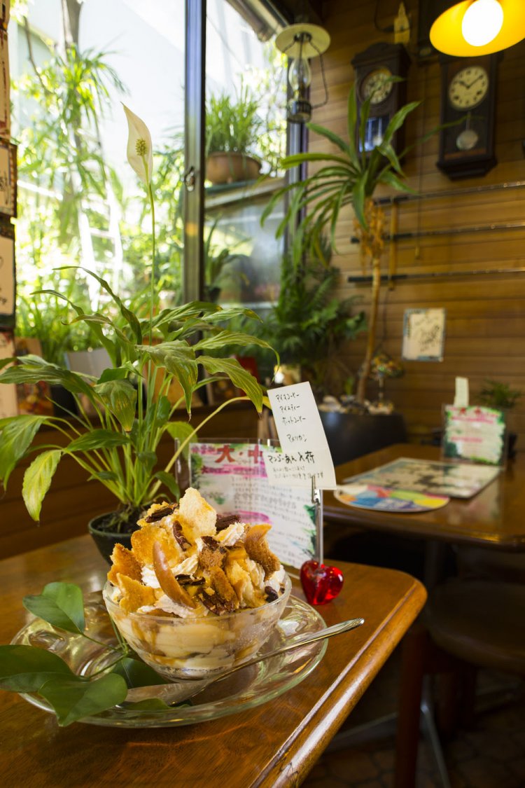 草木が茂る中庭が、窓から眺められる。