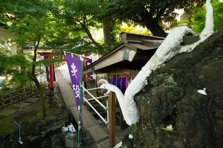 たくさんの白蛇が護(まも)る上神明天祖神社の弁天山。ついでにホースが青蛇のよう。