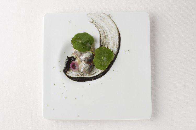 4日間熟成させたイワシのマリネは柔らかな食感。タマネギとライムのソースで爽やかに。