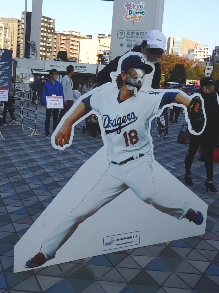 日米野球の行われている東京ドームにて。前田健太投手の顔が犬になっているシュールさ(2018年）