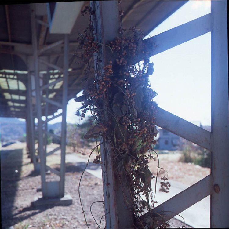 筑波駅ホームの支柱。この支柱も、今は存在しない。 6x6フォーマットカメラにて撮影。(ポジスキャン)