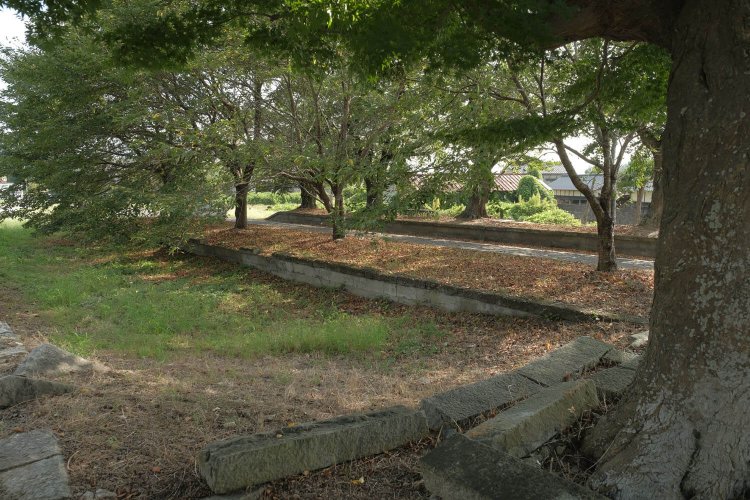 駅舎横側の貨物ホーム終端部辺りから上下線のホーム跡をみる。ホームというより城跡に見えなくもない。