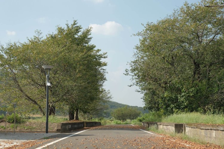 サイクリングロードは新しく、ホームは朽ちてきた。そのギャップに月日を感じさせられる。